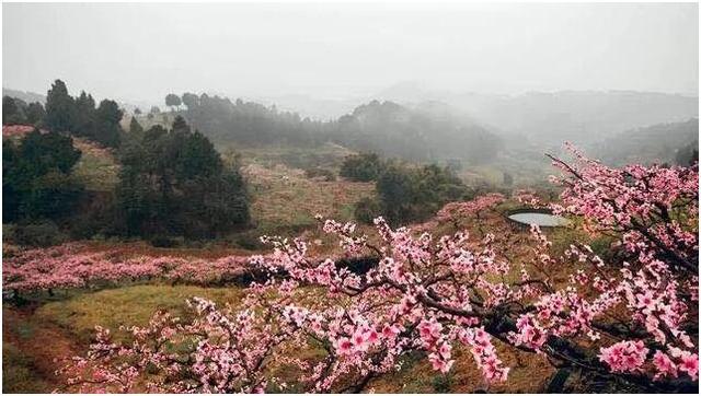 您可以到桃花故里景区门口后,经山泉镇人民政府,到达桃源