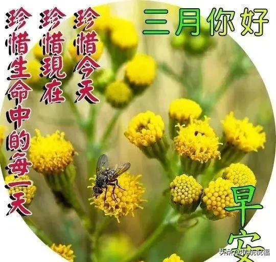 情人节早上好问候语短信大全新版早上好温馨问候语唯美图片