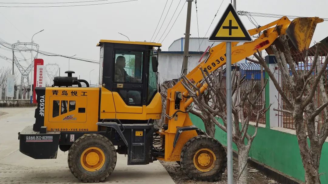 在猪场实习的这个冬天，我明白了猪肉为啥这么贵