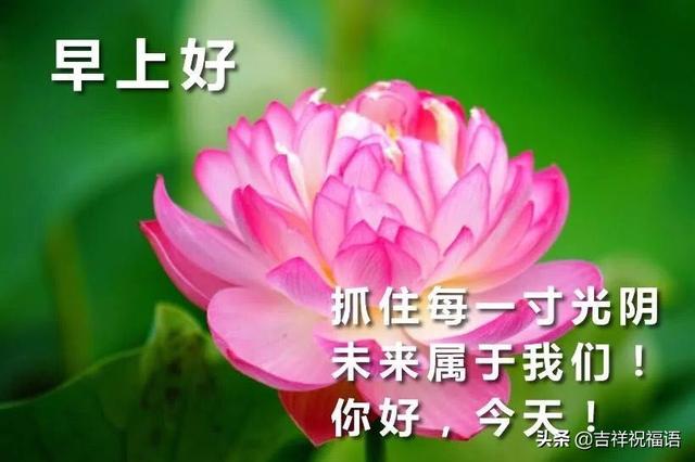 鼠年早上好祝福语简短 3月14日周六早安表情图片带鲜花免打字