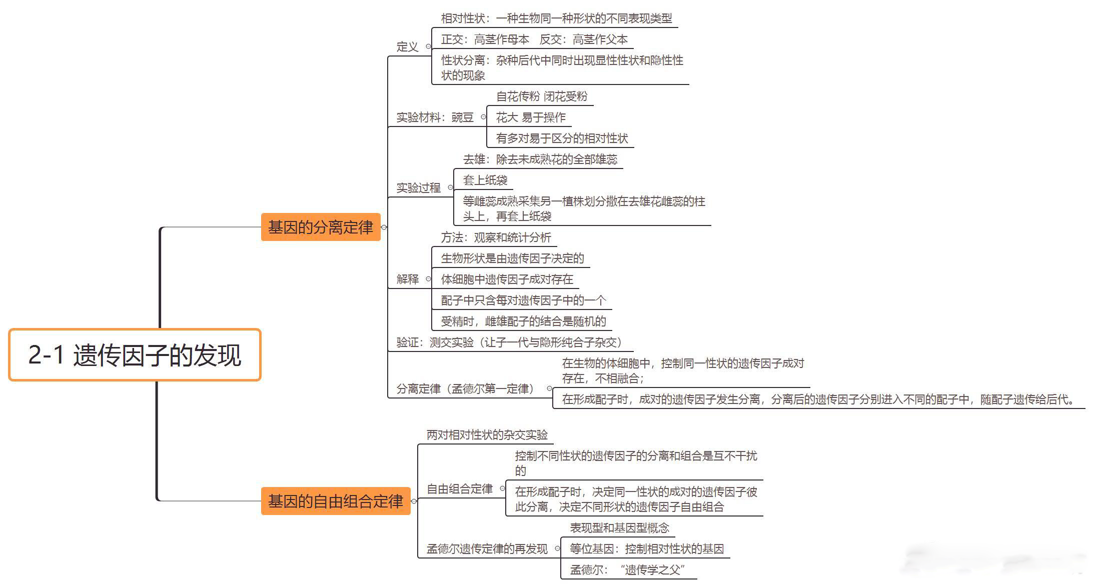 高中生物必修二思维导图,重要知识点汇总