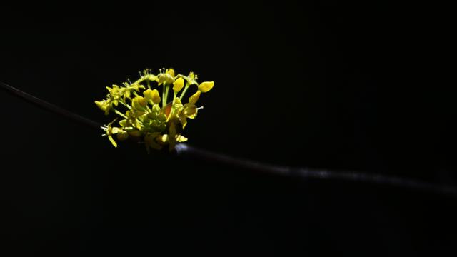 随心所欲的简谱_罗琦随心所欲简谱(3)