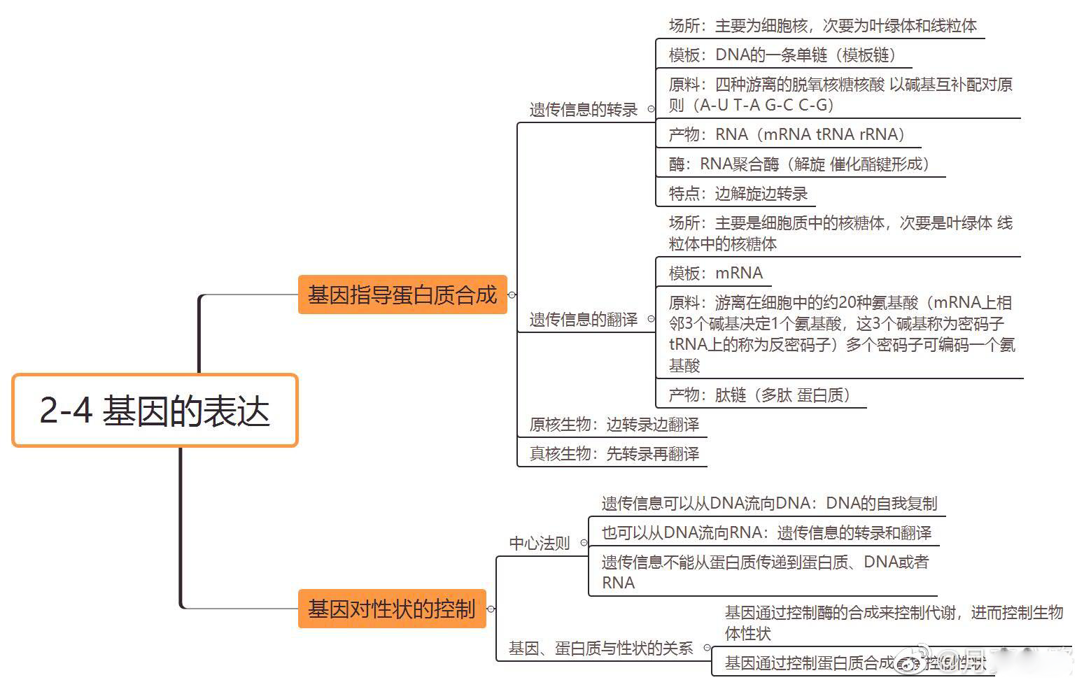 高中生物必修二思维导图,重要知识点汇总