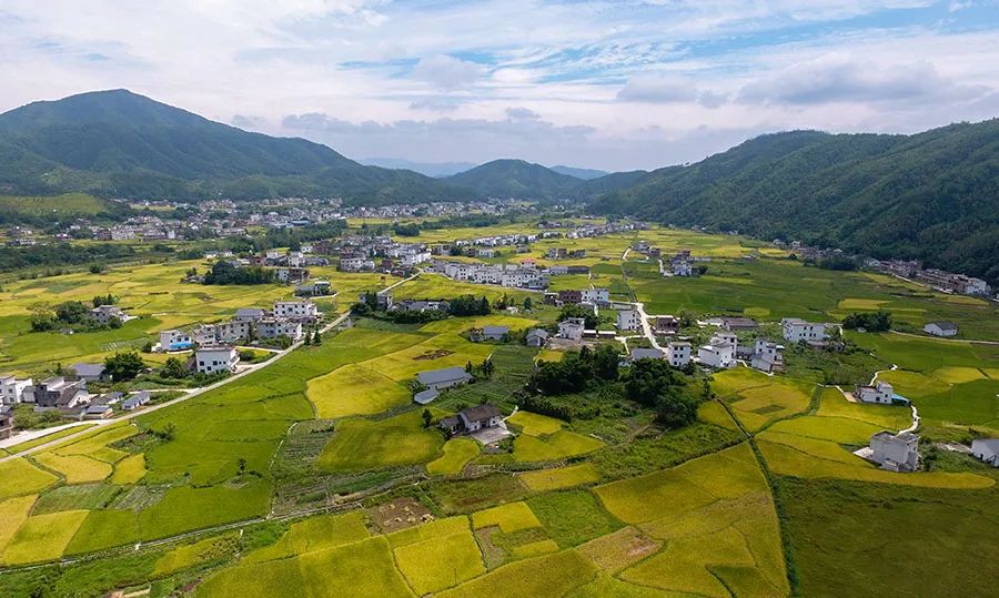 上犹荣获全国村庄清洁行动先进县