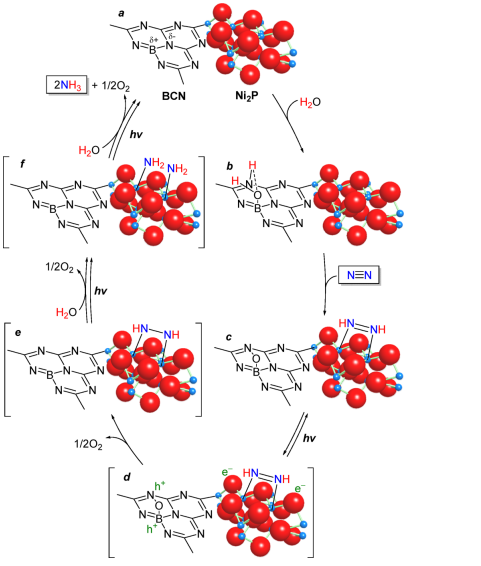 water on boron-doped carbon nitride loaded with nickel phosphide