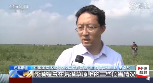 再度出征：世界别慌！我们的“国宝”来了