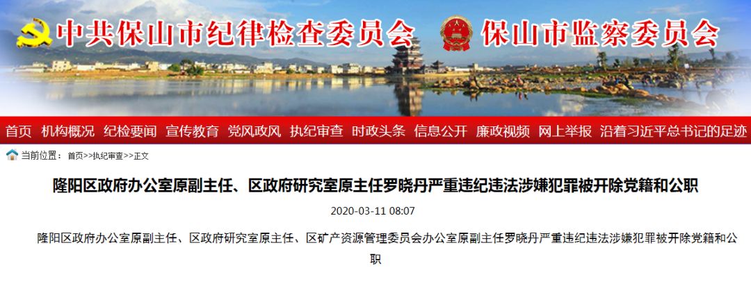 保山隆阳区政府办公室原副主任罗晓丹等2人被双