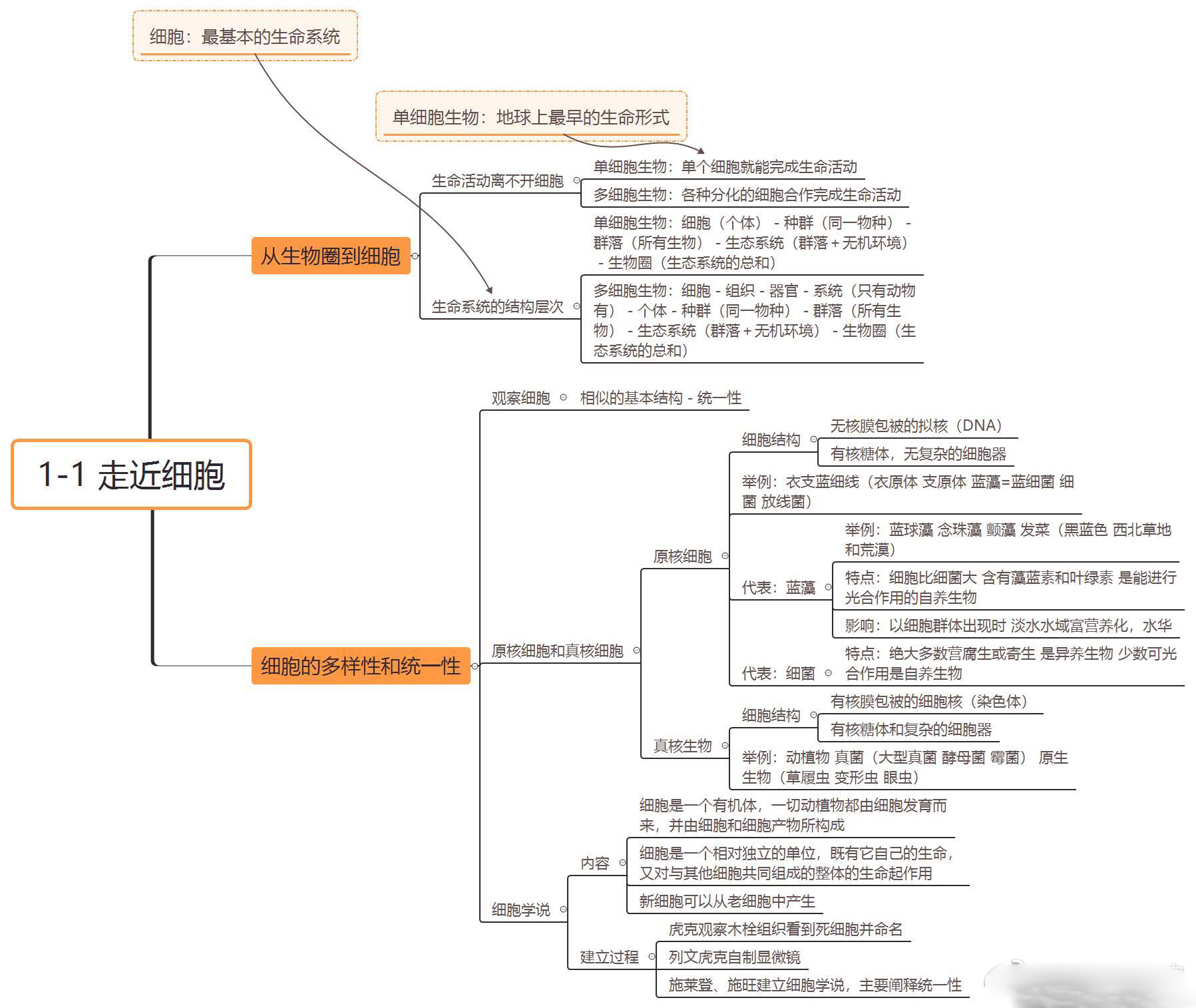 高中生物必修一思维导图,重要知识点汇总