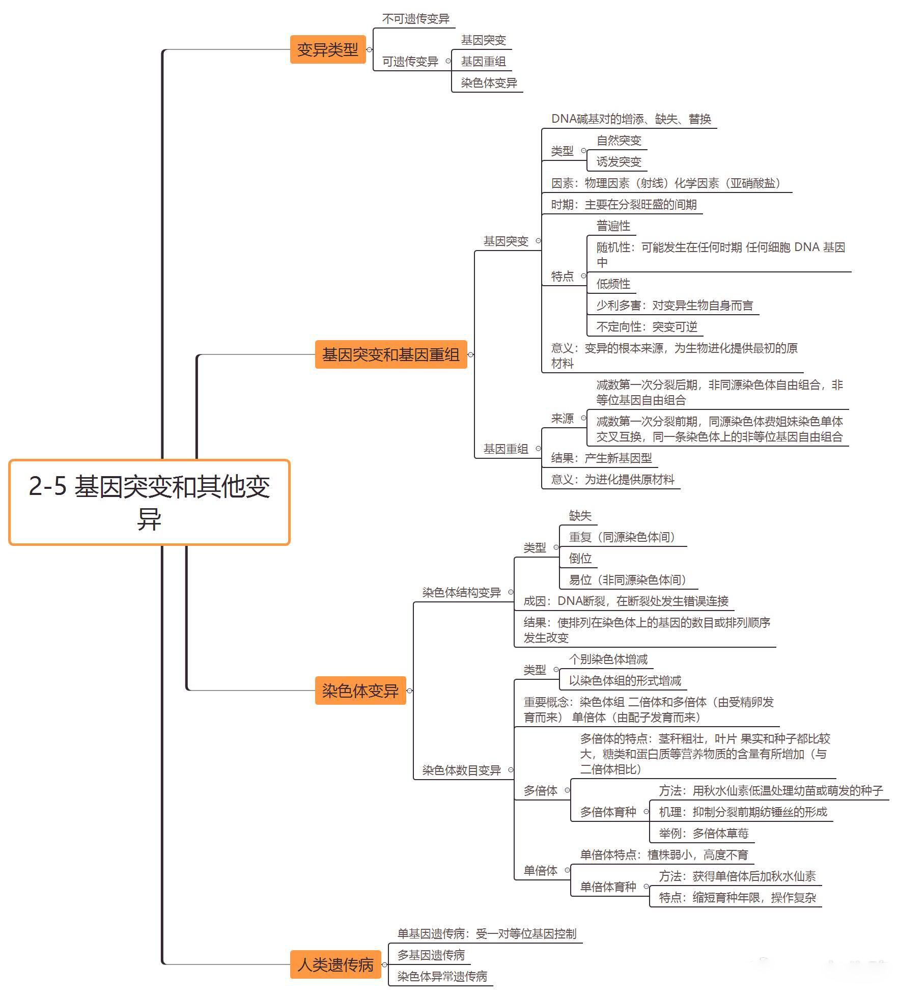 高中生物必修二思维导图,重要知识点汇总