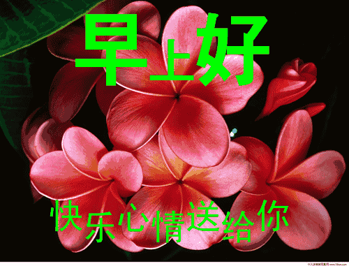 每日清晨问候语暖心图片大全 早晨好动态表情包2020
