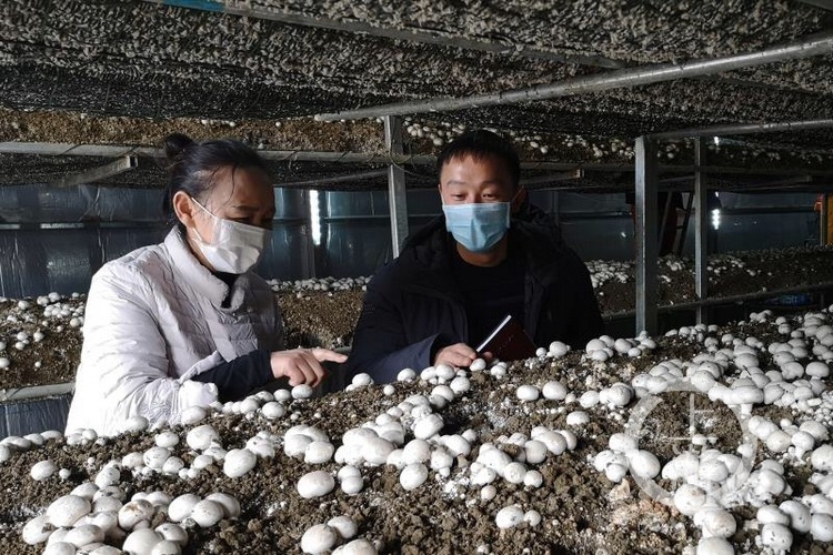 民警兼职做“微商” 收到的全是赞