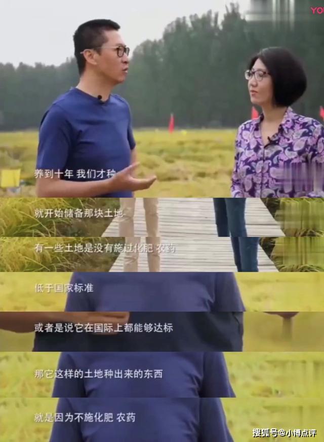 明星退出娱乐圈后转做生意，有的甚至当起养鸡
