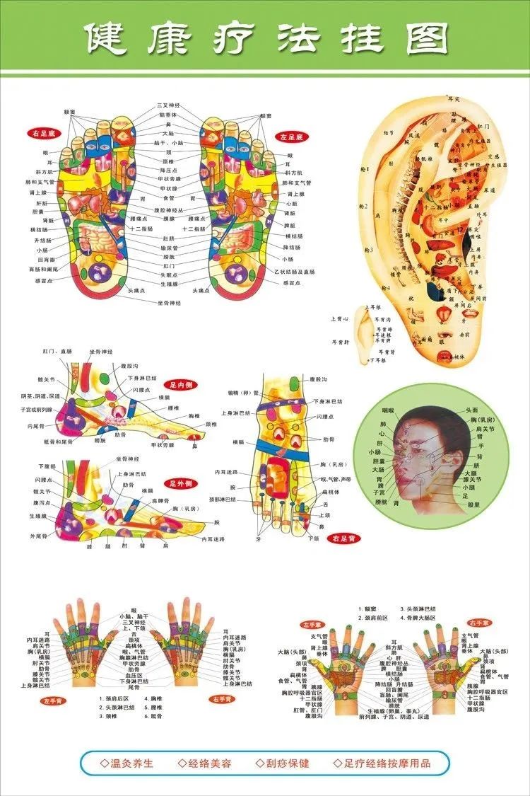 人体各部位全息图(五脏六腑反射区)_足部