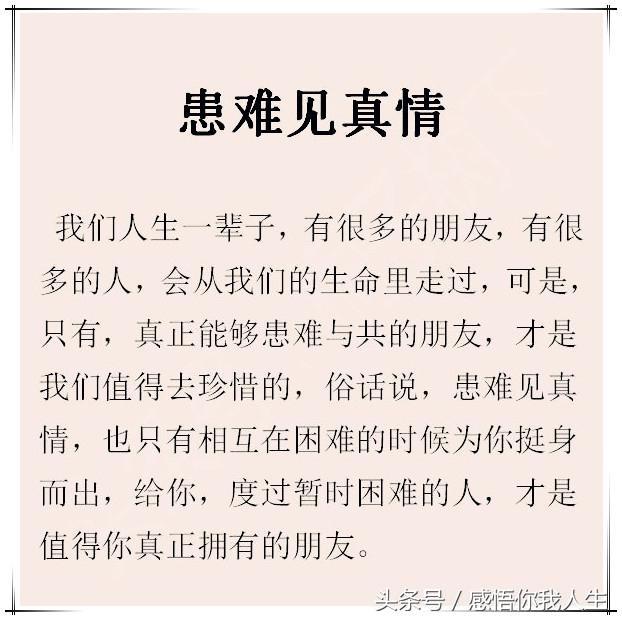患难见真情简谱_患难见真情图片(3)