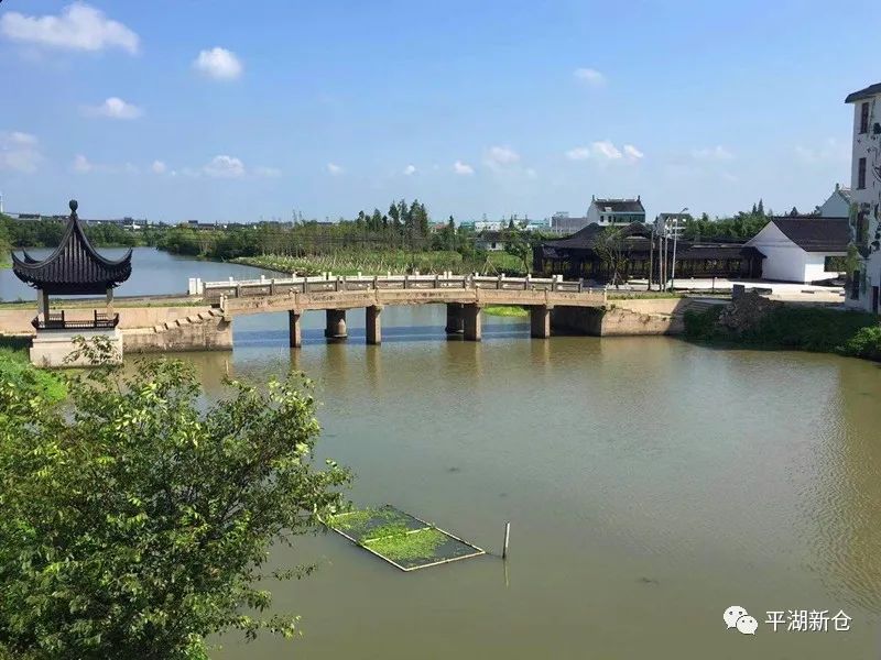 【防疫复工·三服务进行时】平湖市水利局领导来新仓调研指导