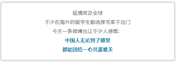 意大利留学生听到敲门声，接下来一幕看哭网友