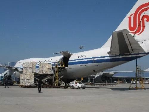 再度出征：世界别慌！我们的“国宝”来了