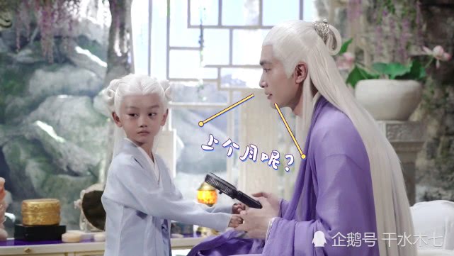 帝君和白滚滚初次见面,却被他的年龄吓到,称凤九是迷糊的娘!