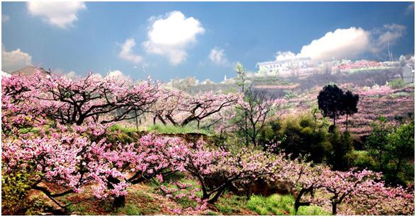 大佛村桃花天池处,此地游客量较少,您可一睹"三生三世十里桃花"场景的