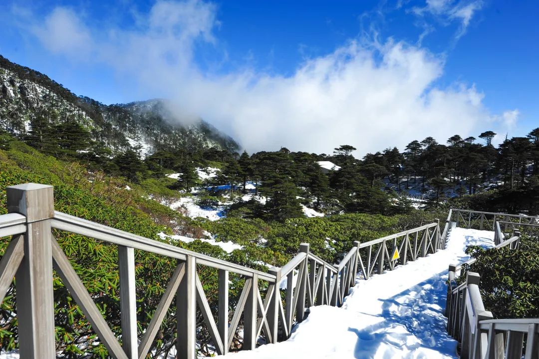 3月16日起,苍山洗马潭索道,洱海大游船,南诏风情岛景区恢复运营!