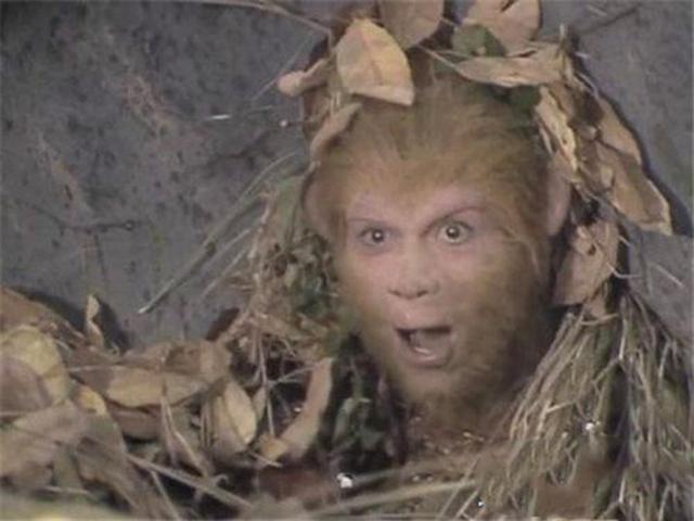 蜗牛看西游的视频 ed64acae2b27454b9ad139e2352e6a91.jpeg