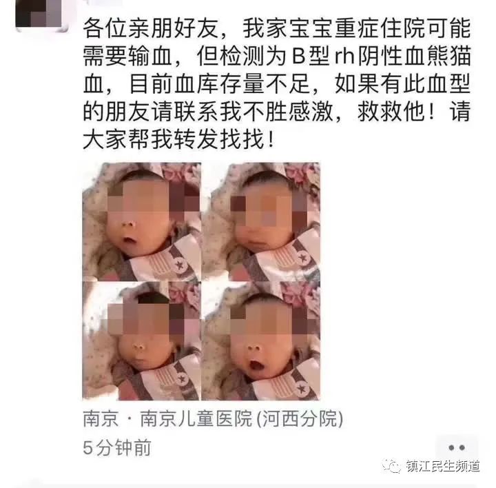 周洋：最紧急的是……才两个月大的宝宝受这么大的罪
