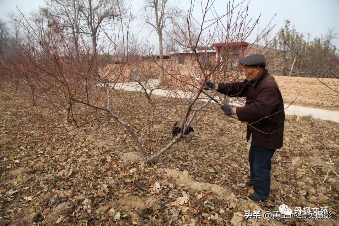 祁县东观人口_祁县东观医院