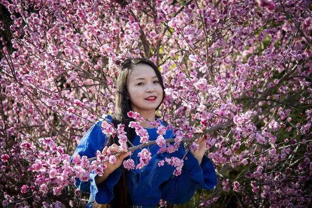 人像摄影:满园梅花开