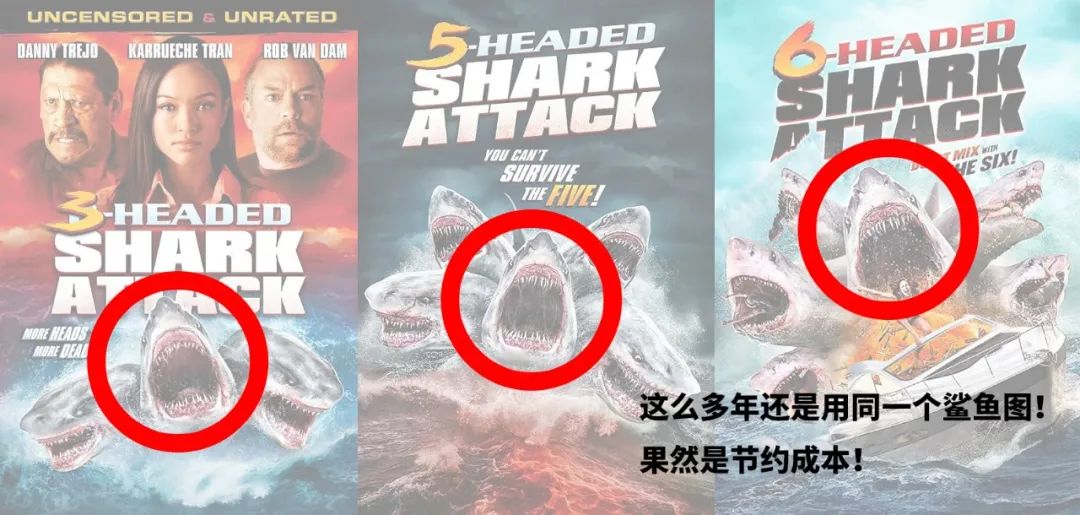 专拍烂片也可以赚大钱？它真可以！
