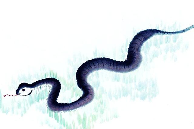 蛇是怎么变化的 105108d614854b8baee244b35acca438.jpeg