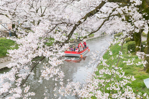 谈球吧体育移民日本捷径都在这里(图3)