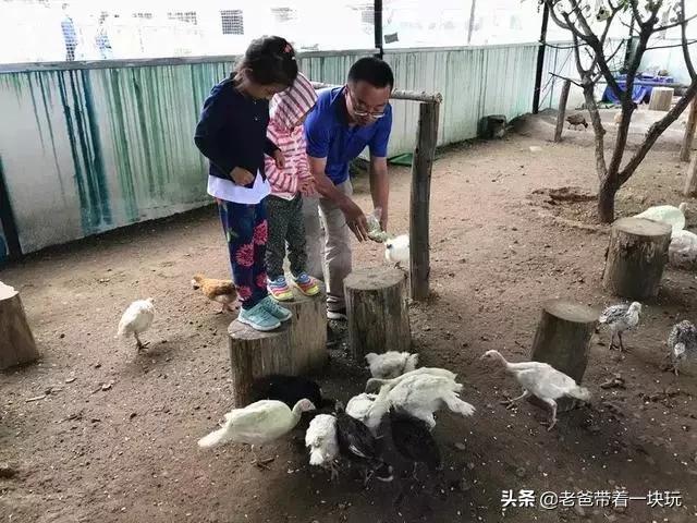 周末带孩子去哪玩？疫情结束可以参考-搜狐大视野-搜狐新闻