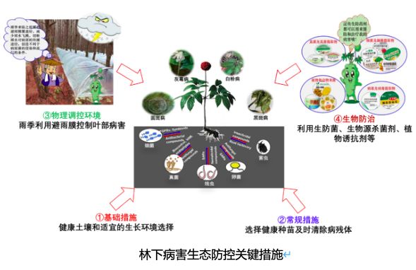 生物源杀菌剂,植物诱抗剂等产品进行病害的预防和治疗