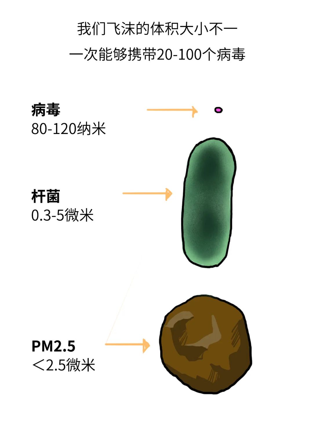 艾滋病的传播方式是哪几种 2dd0150e26974704886e541630656729.jpeg