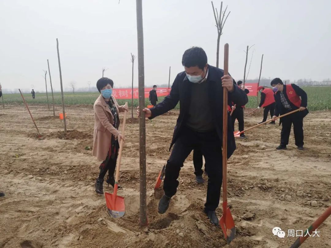 淮阳区总人口_淮阳区龙湖图片(2)