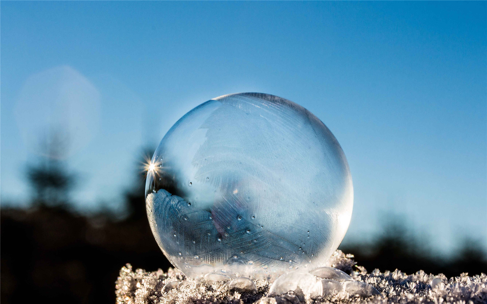 如何挑选一款好的夜光漂 5de1de87a3ab41bc927d41cb059d04cf.jpeg