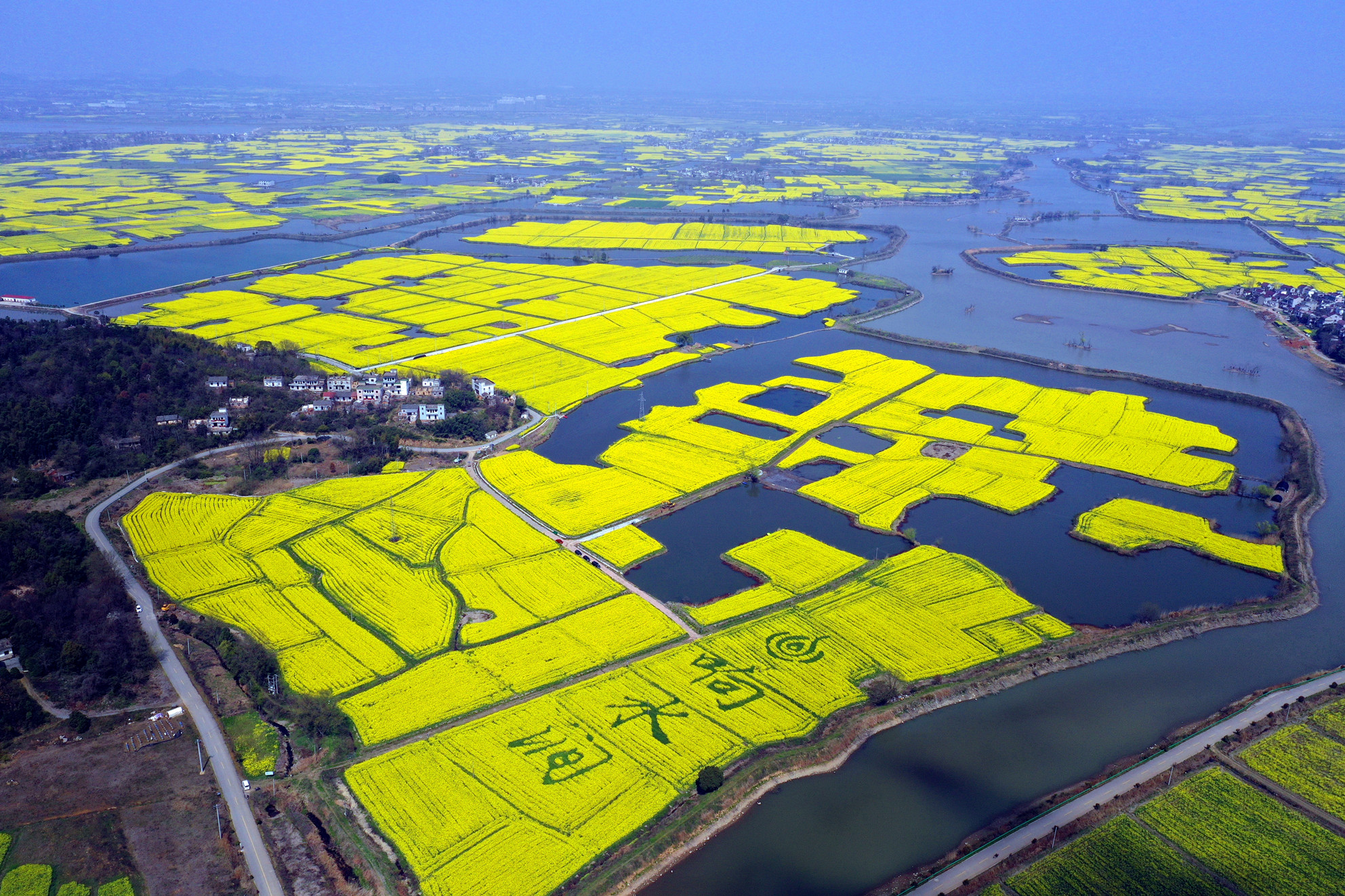 航拍安徽芜湖响水涧:油菜花开遍地"金黄"