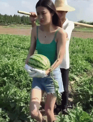 搞笑GIF趣图：姑娘敢偷西瓜，被大爷逮到了吧_老太太
