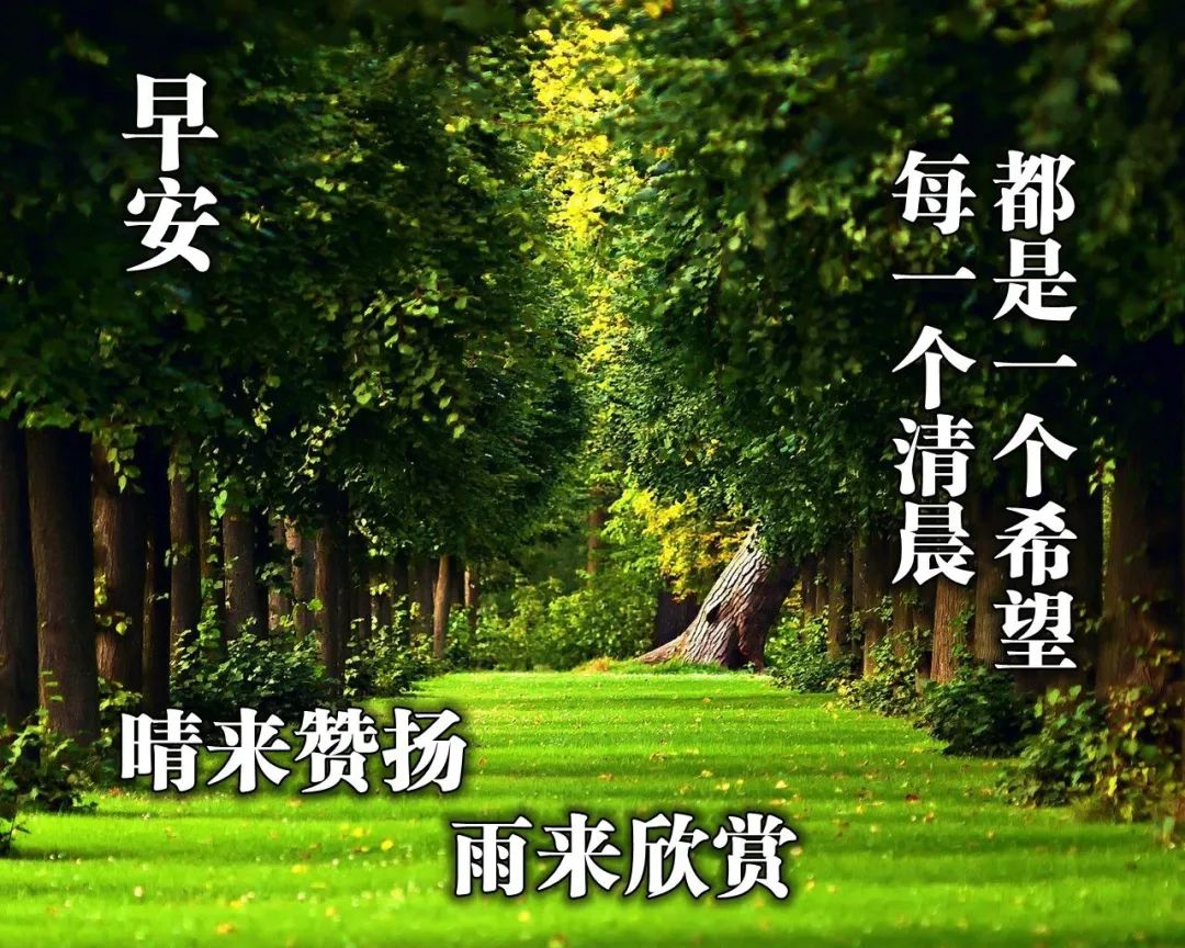 早晨问候图片最新 早上好祝福图片表情包