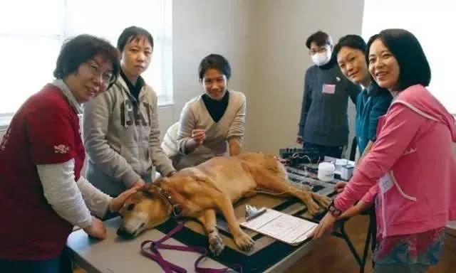 原创中兽医学院，只有一所大学有，不是中国农业大学