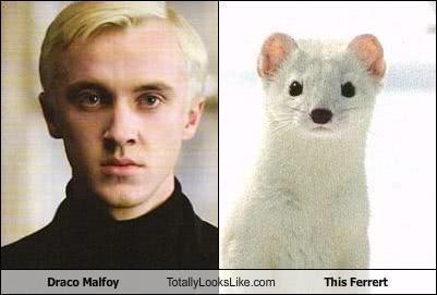 来自蛇院的德拉科·马尔福(draco malfoy)!