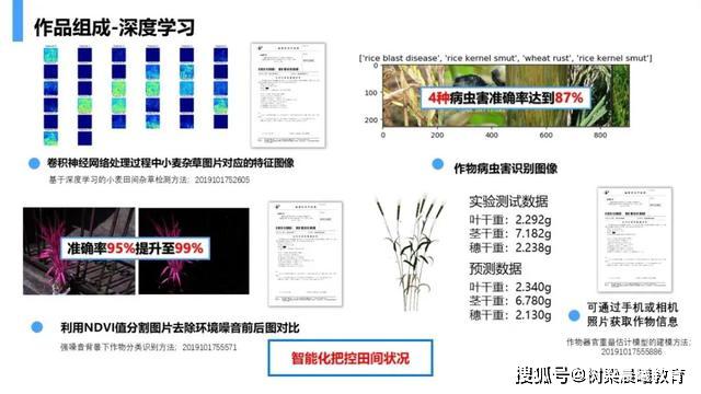 武大学霸宿舍：1人直博清华、2人保研武大，还有1人留学国外，优秀！