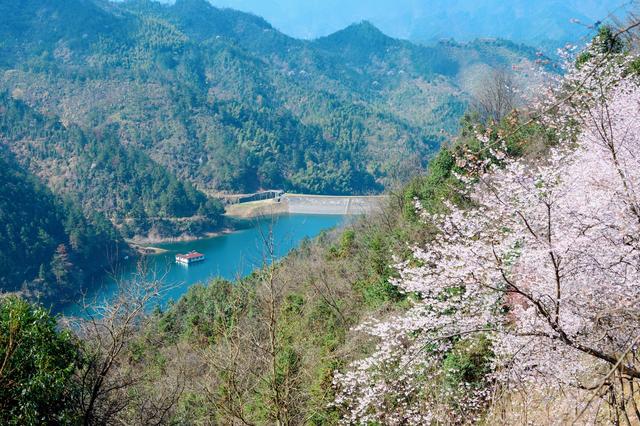 桐庐人口少_城市建设 杭州小县 桐庐的城建桐庐县,一个人口只有40万的小县.经(3)