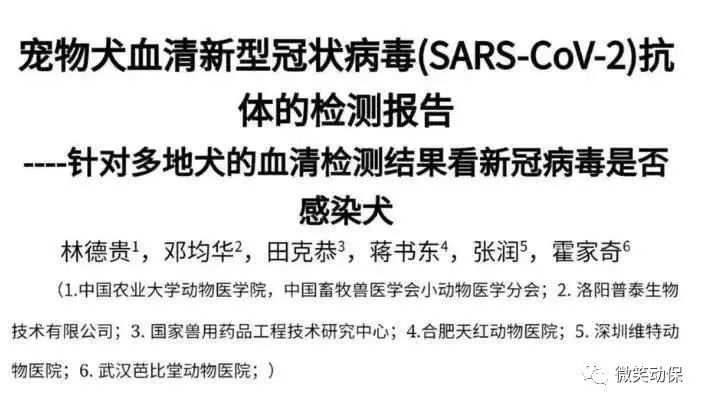 香港弱阳狗血清呈新冠阴性,让毛孩子们背锅的人欠它们