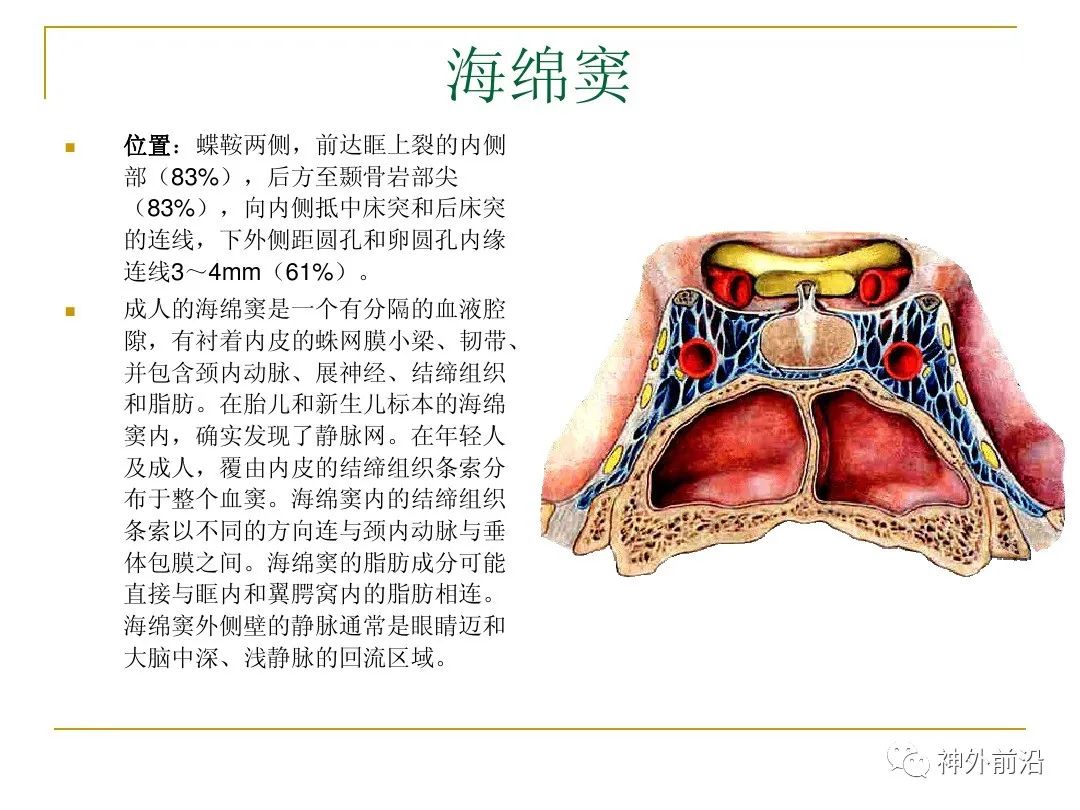 实用课件颅底的结构