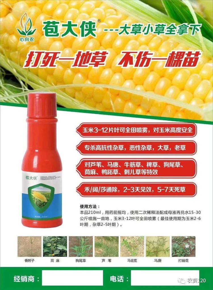 玉米苗后除草剂,用药技术要点