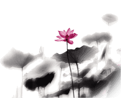 d779fdefd9a34d799a46f2cbb1e941a3.png