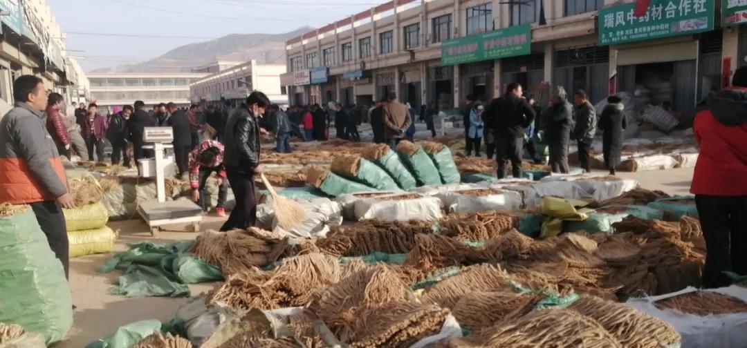 最新渭水源中药材市场价格一览