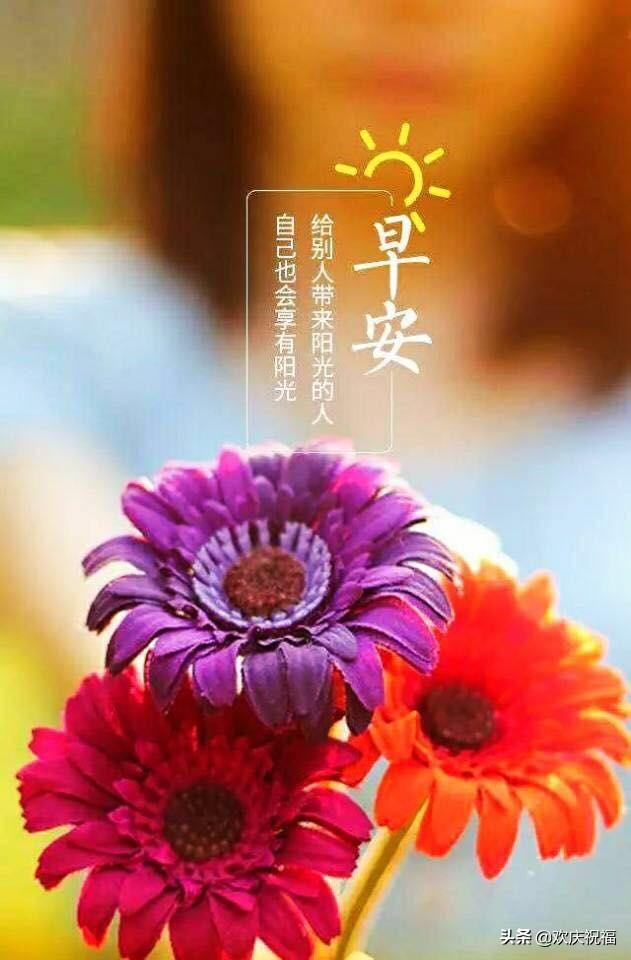 鼠年二月二十二早上好祝福语 3月15日早安表情图片带鲜花免打字