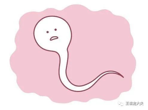 8.精子存活率：是指射精后1小时内，存活精子所占的百分率。正常值：存活率≥50%（5版手册＞58%）